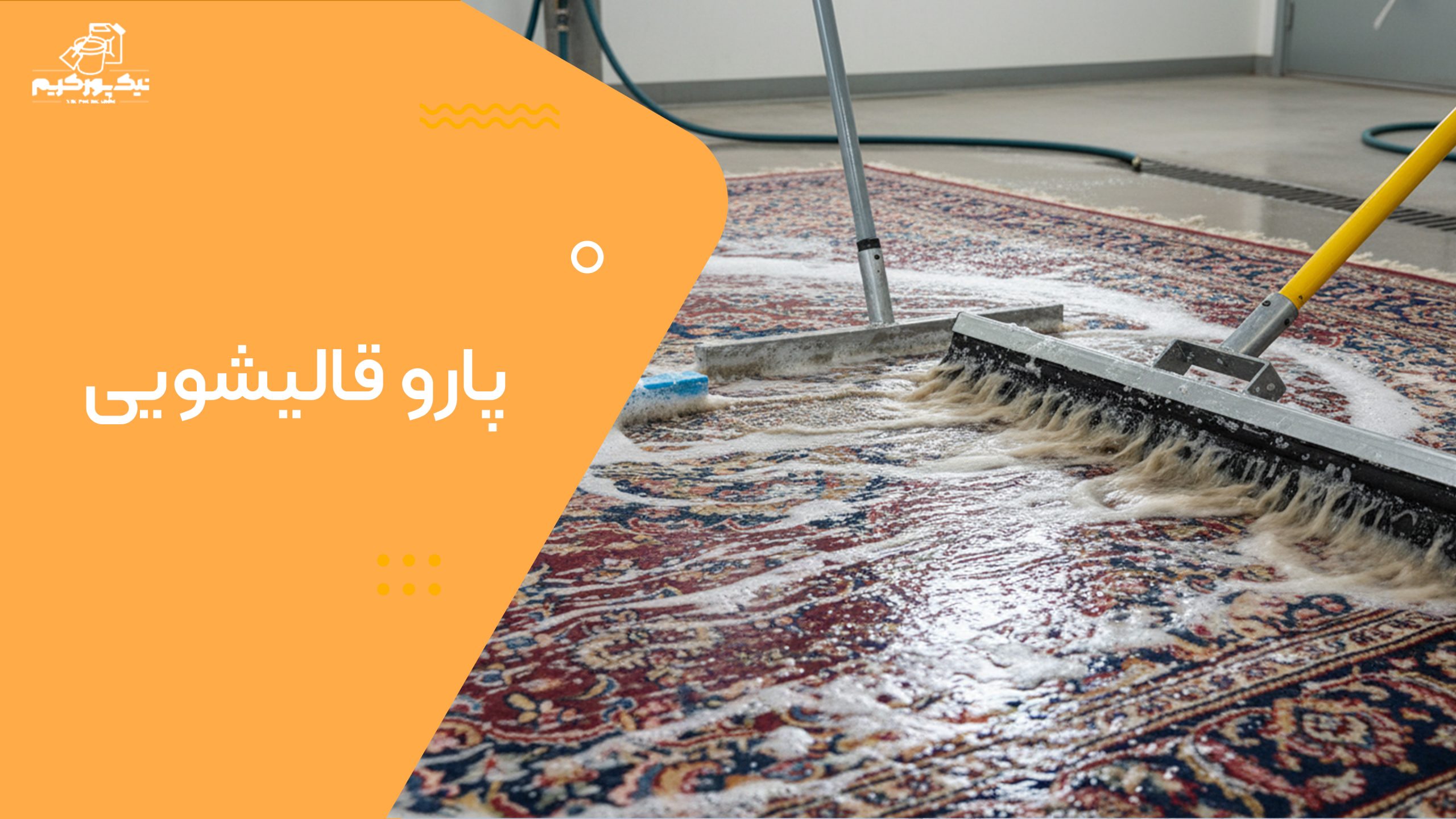 پارو قالیشویی