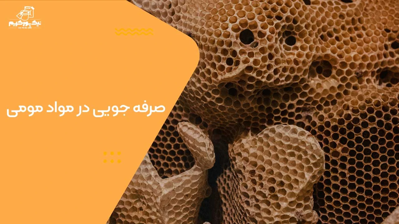 چرا کندوی عسل شش ضلعی است:‌ صرفه جویی در مواد مومی