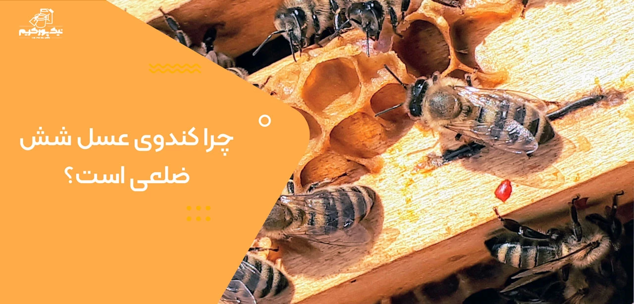 چرا کندوی عسل شش ضلعی است؟