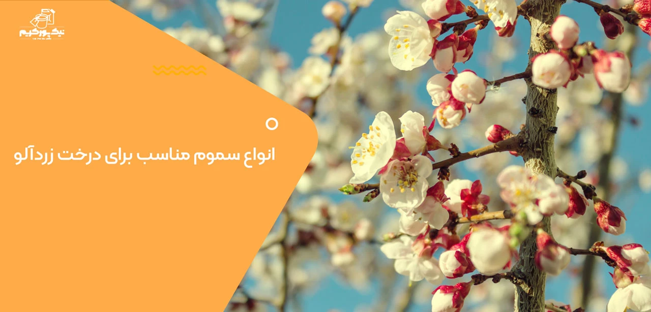 انواع سموم مناسب برای درخت زردآلو