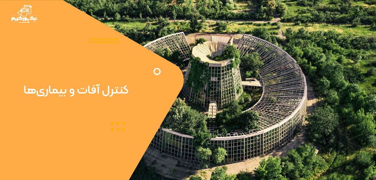 کنترل آفات و بیماری‌ها - کاربرد انرژی هسته ای در کشاورزی