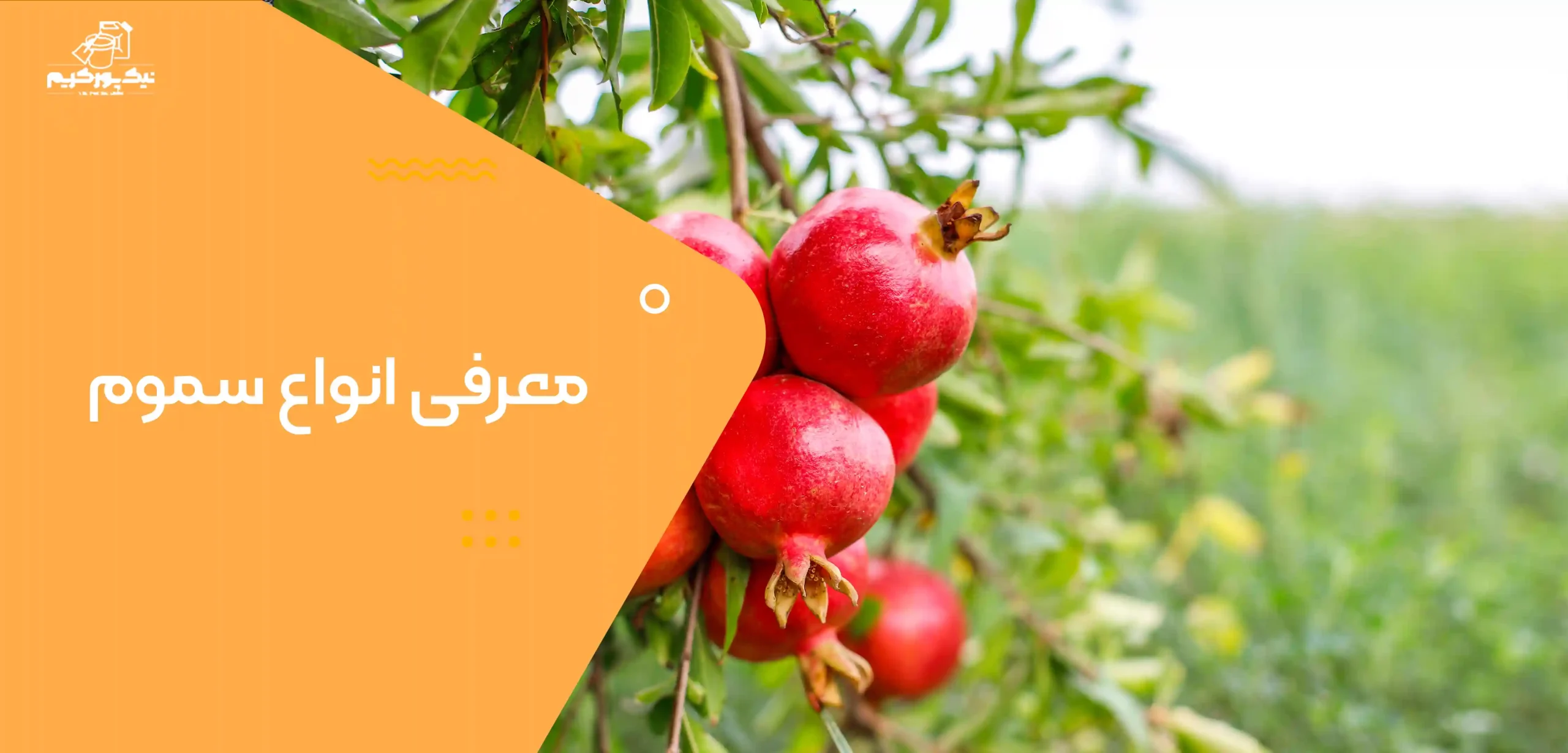 معرفی انواع سموم معرفی انواع سموم