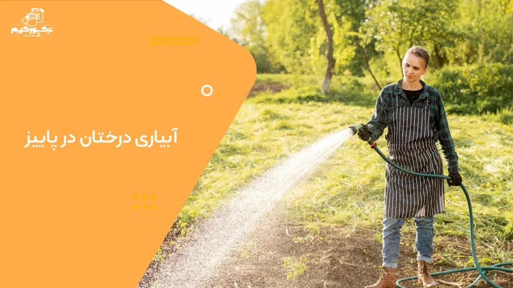 0 تا 100 آبیاری درختان در پاییز
