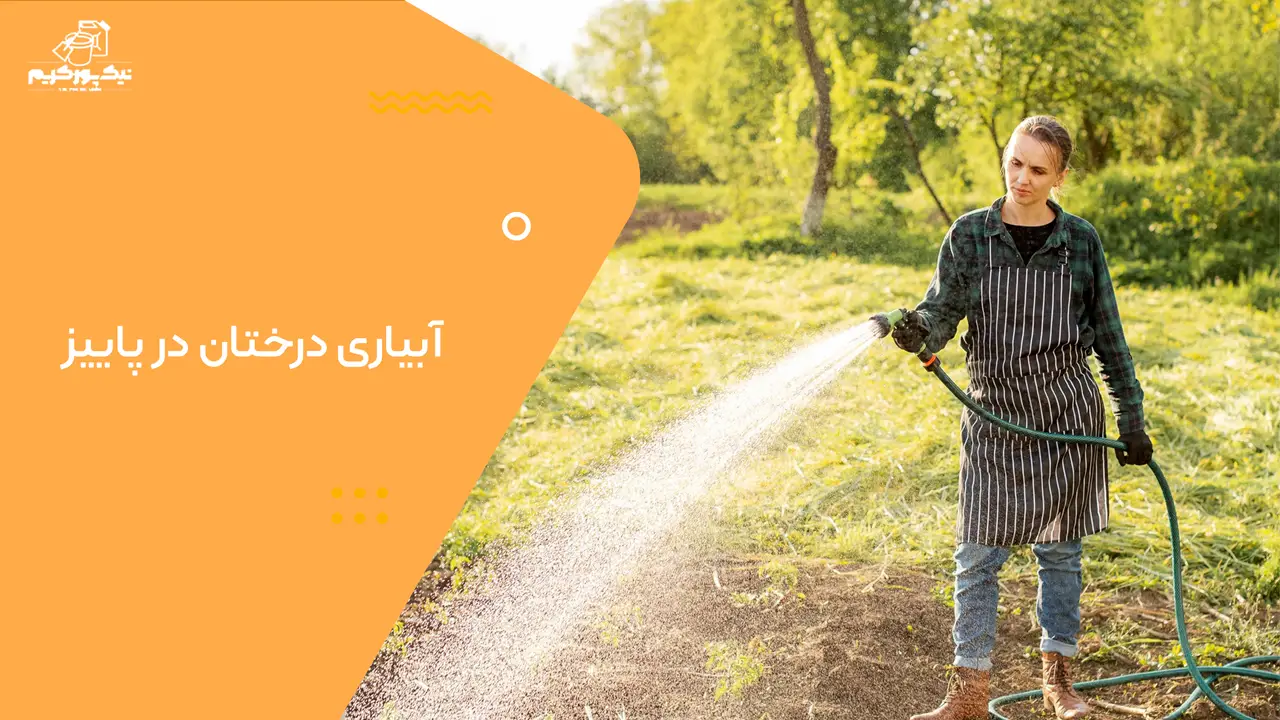 0 تا 100 آبیاری درختان در پاییز