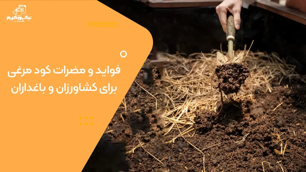 0 تا 100 فواید و مضرات کود مرغی برای کشاورزان و باغداران