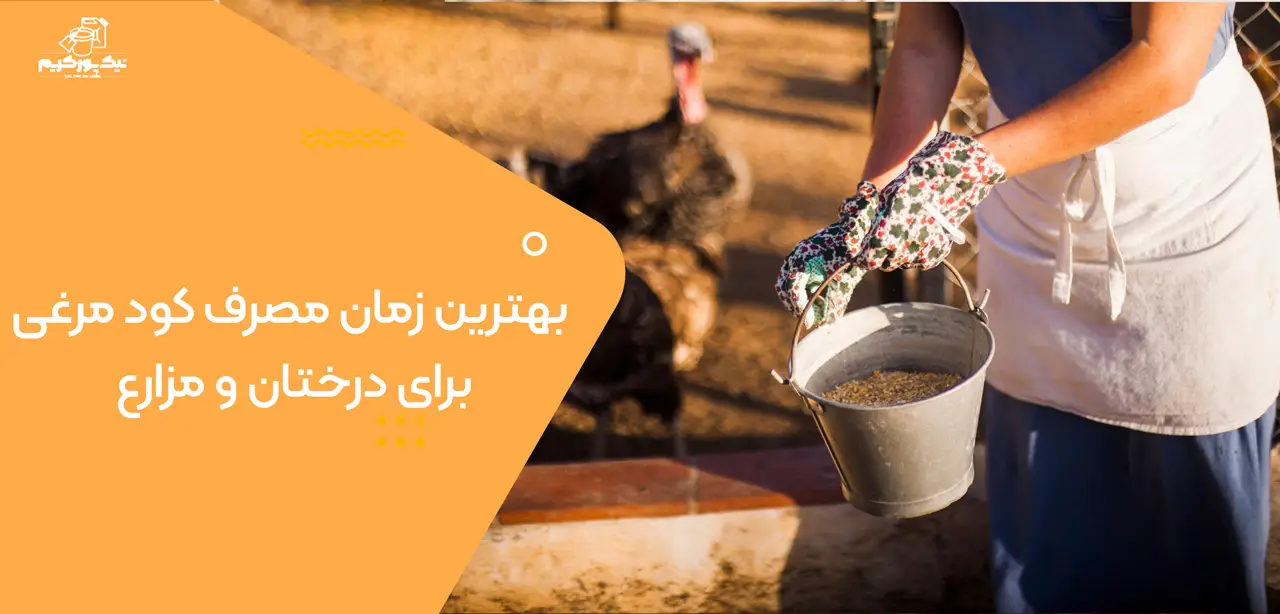 بهترین زمان مصرف کود مرغی برای درختان و مزارع