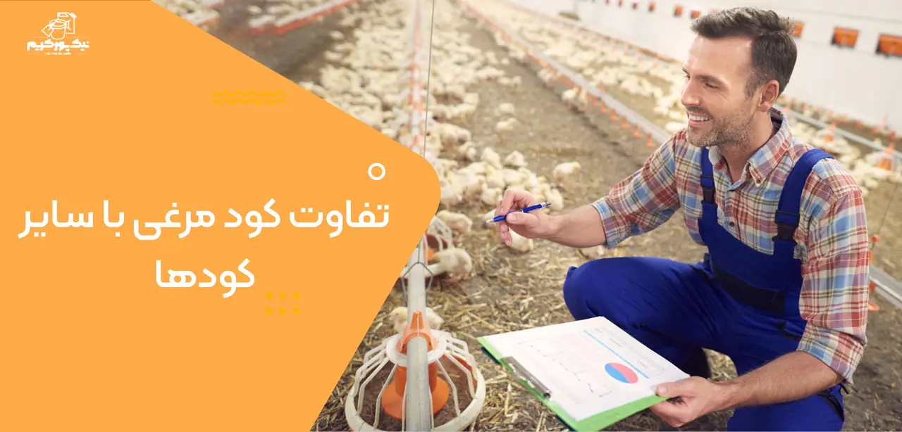 تفاوت کود مرغی با سایر کودها