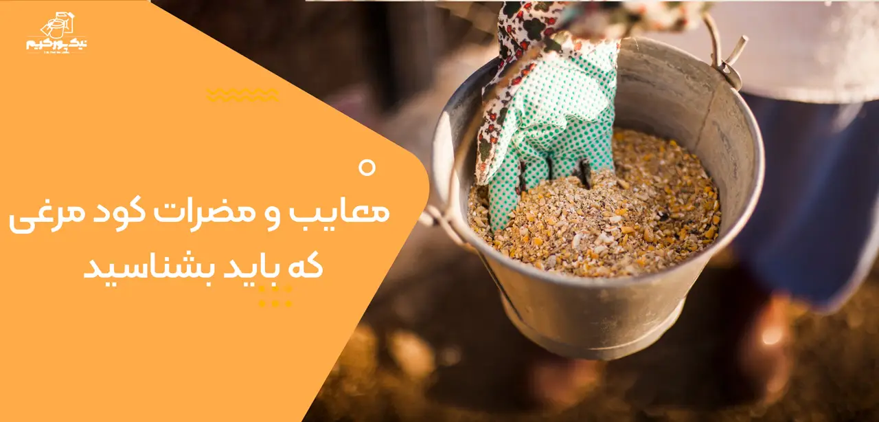 معایب و مضرات کود مرغی که باید بشناسید