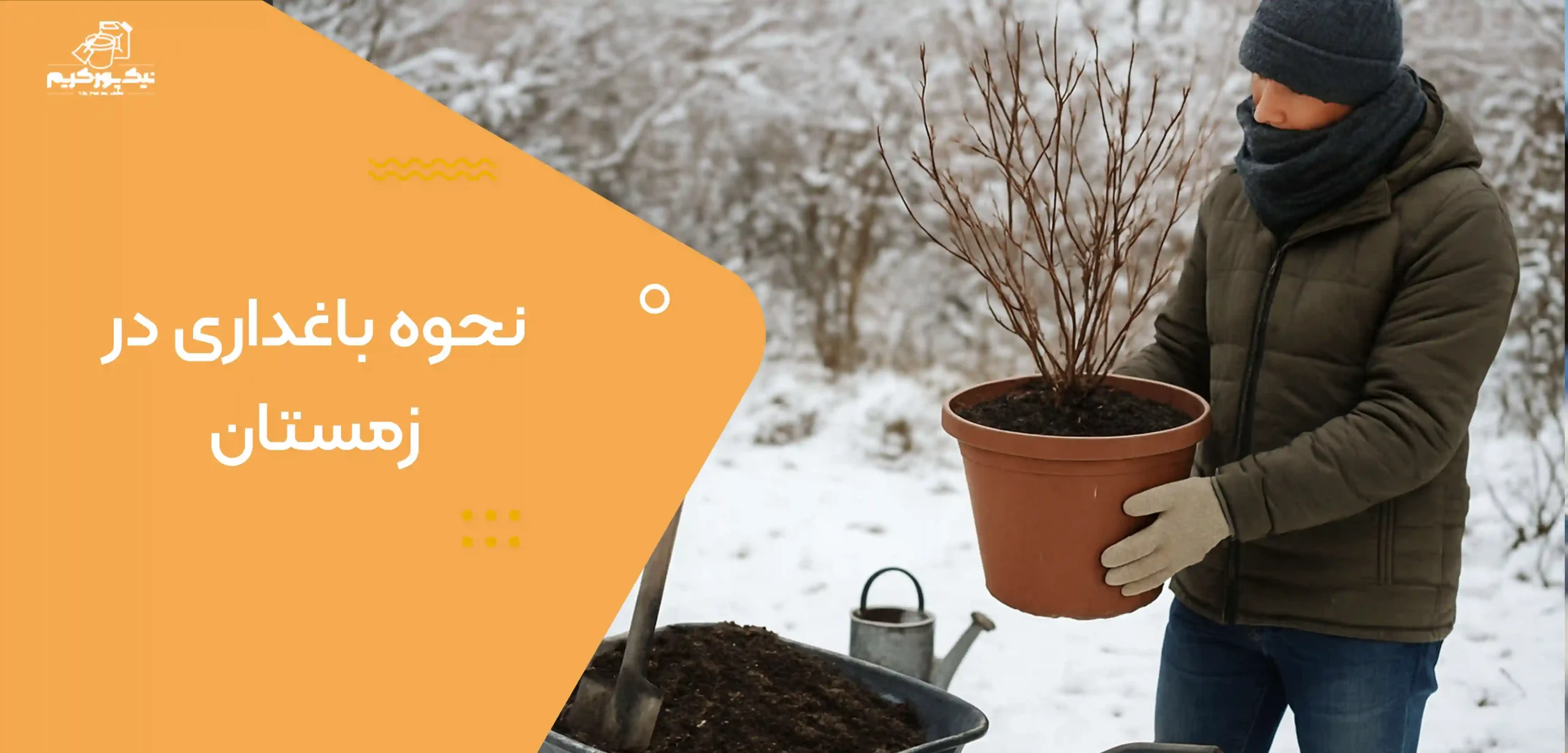 نحوه باغداری در زمستان