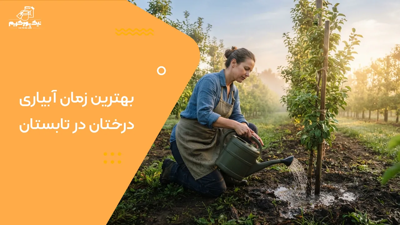 بهترین زمان آبیاری درختان در تابستان