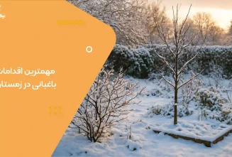 مهمترین اقدامات باغبانی در زمستان