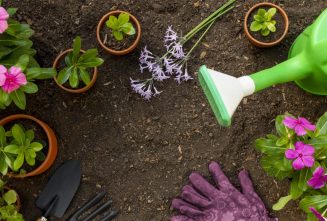 آشنایی با انواع ابزارآلات باغبانی