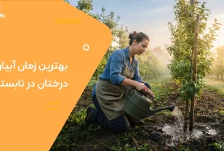 بهترین زمان آبیاری درختان در تابستان