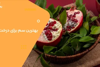 بهترین سم برای درخت انار