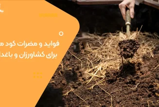 0 تا 100 فواید و مضرات کود مرغی برای کشاورزان و باغداران